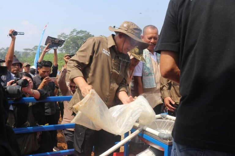 445241562 838082958353544 440825817624297920 n