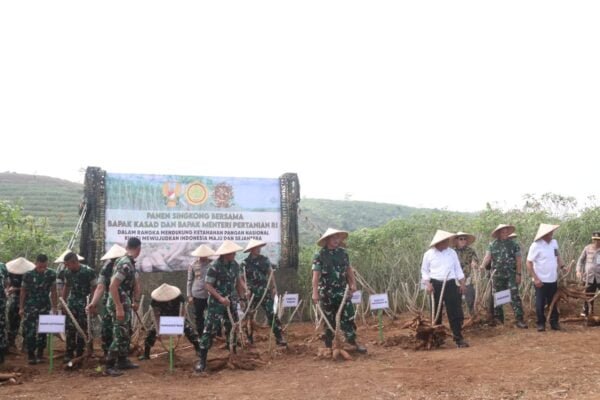 PANEN RAYA DI FOOD ESTATE CIEMAS, BUPATI MARWAN SEMOGA MENINGKATKAN TARAF PEREKONOMIAN MASYARAKAT 445436805 842300847931755 8418350623448639741 n