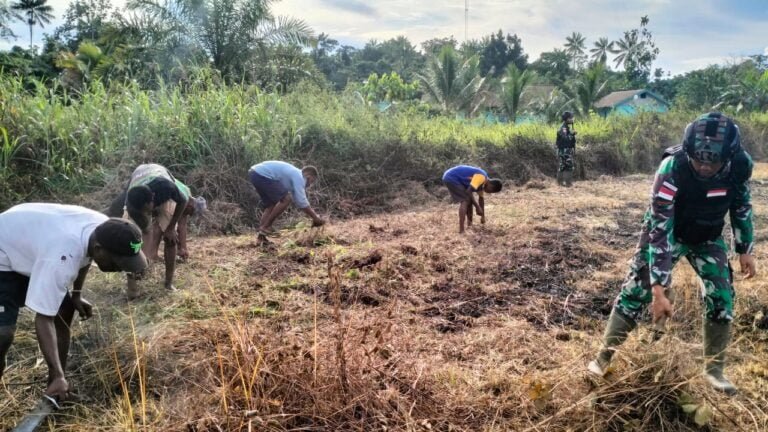 WhatsApp Image 2024 06 12 at 13.06.47