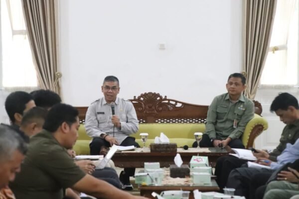 449518693 860042656157574 536398898345869890 n