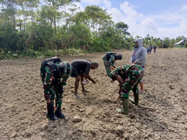 Semangat Swasembada Pangan, Satgas Yonif 310/KK Bersama Warga Perbatasan Tanam Bibit Jagung