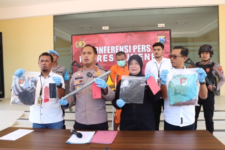 WhatsApp Image 2024 08 12 at 13.17.33