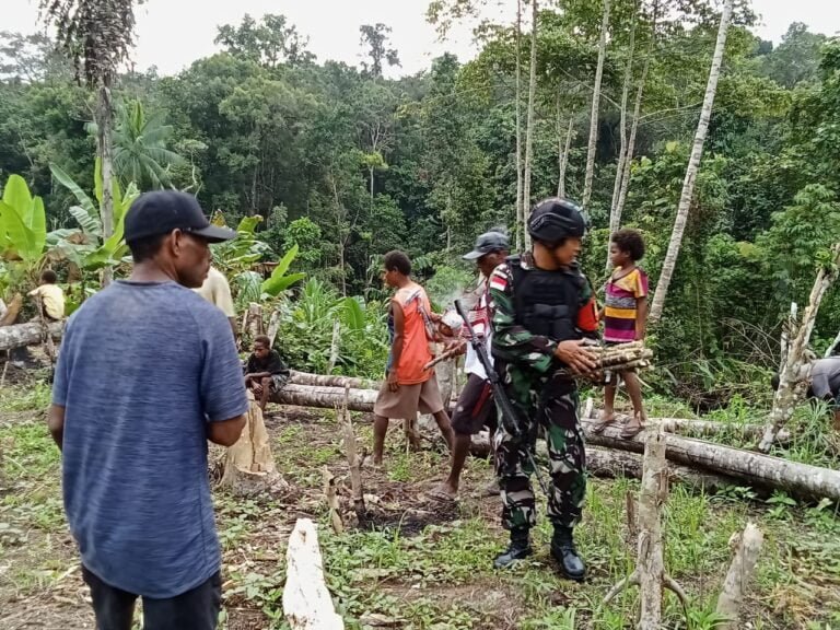Satgas Yonif 310/KK Bantu Warga Merawat Kebun, Demi Tingkatkan Hasil Panen