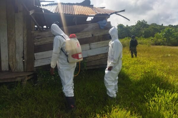 WhatsApp Image 2024 09 12 at 06.35.30