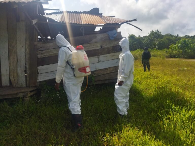 WhatsApp Image 2024 09 12 at 06.35.30