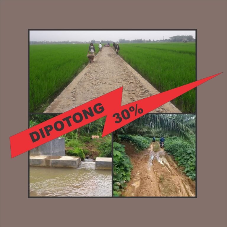 Diduga Oknum DPRD Kab. Sukabumi Sikat DAK Fisik Pertanian 2024