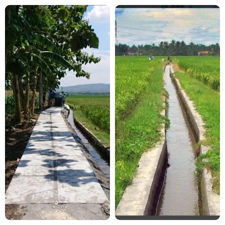 WhatsApp Image 2024 09 23 at 09.45.12