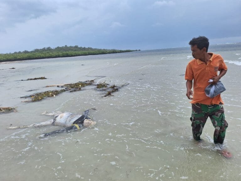 Penemuan Mayat di Pinggir Pantai Dusun Tembang Desa Buddhi Kec. Arjasa Kab Sumenep.