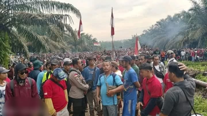 WhatsApp Image 2025 01 03 at 20.11.18