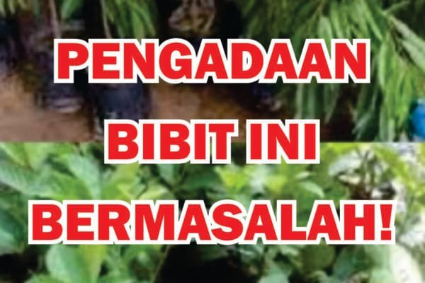 BIBIT