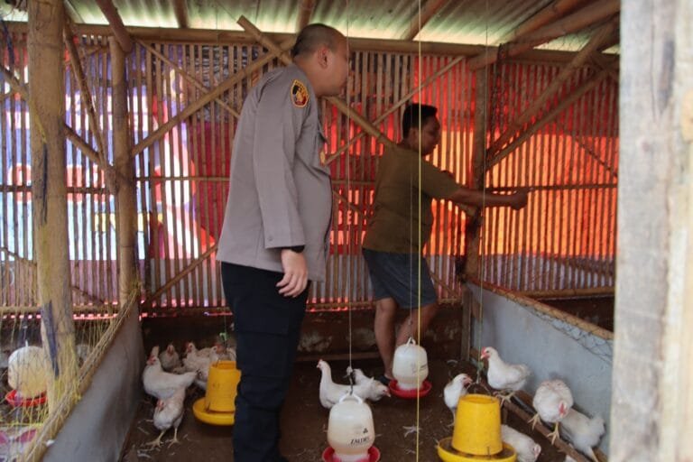 WhatsApp Image 2025 04 18 at 16.44.53 72f9bf86