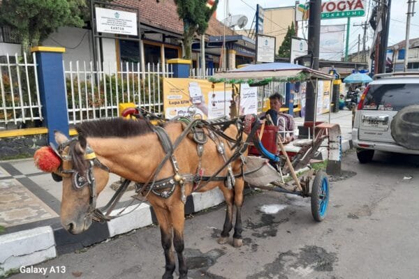 Di Tengah Modernisasi Kota, Kusir Delman Sukabumi Menjerit! WhatsApp Image 2025 04 25 at 15.32.35 0e5a1028