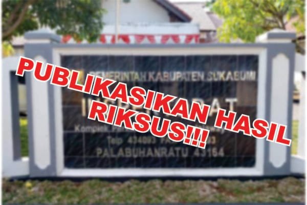 publikasikan hasil riksus 2
