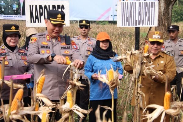 Polres Sumenep Gelar Panen Raya Jagung Serentak Dukung Ketahanan Pangan Nasional WhatsApp Image 2025 06 07 at 17.56.11 211348b9