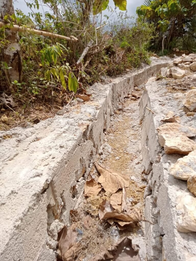 WhatsApp Image 2025 09 20 at 16.19.55 dbcb45a9