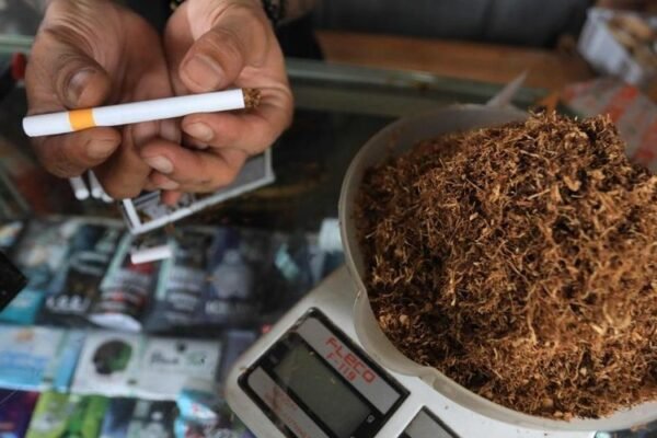 rokok tembakau tingwe 8 169 1