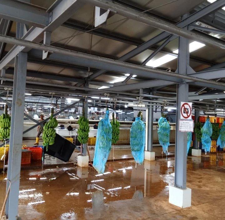 WhatsApp Image 2025 10 27 at 20.11.10 1