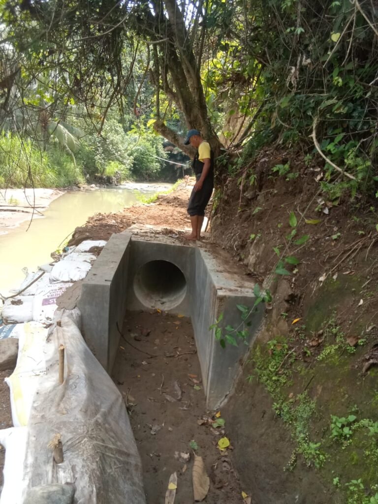 WhatsApp Image 2025 11 01 at 13.04.23 1