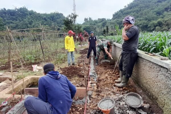 WhatsApp Image 2025 11 11 at 14.35.28 1