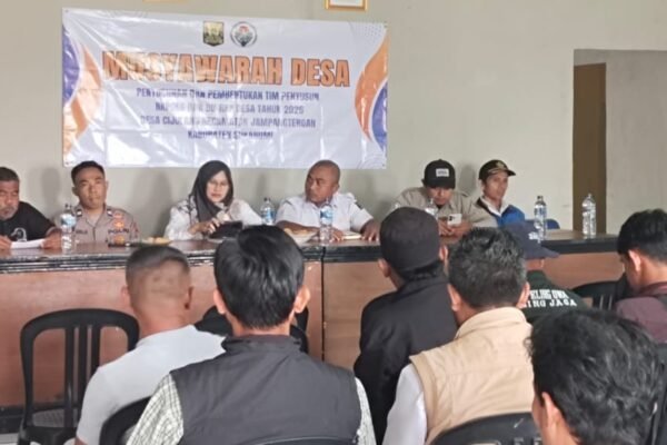 WhatsApp Image 2025 12 10 at 19.54.05