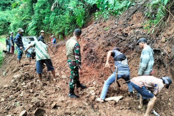 WhatsApp Image 2025 12 13 at 07.56.47