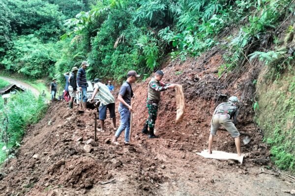 WhatsApp Image 2025 12 13 at 07.57.56 1