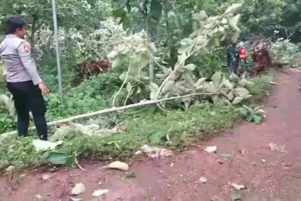 WhatsApp Image 2025 12 23 at 7.42.58 AM