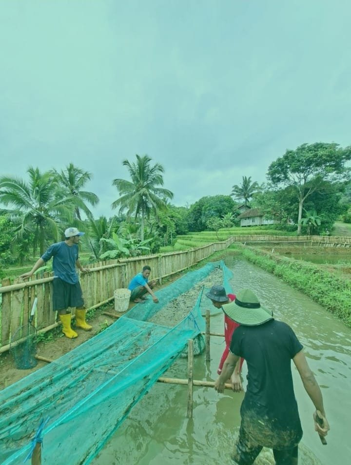 WhatsApp Image 2025 12 25 at 08.49.28