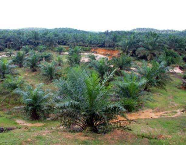 WhatsApp Image 2025 12 31 at 7.23.15 AM