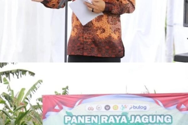 WhatsApp Image 2026 01 08 at 19.07.34