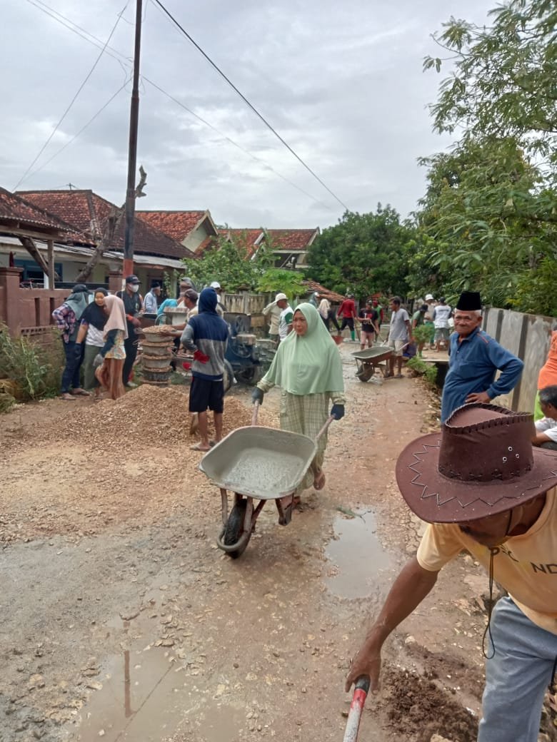 WhatsApp Image 2026 01 12 at 16.39.31