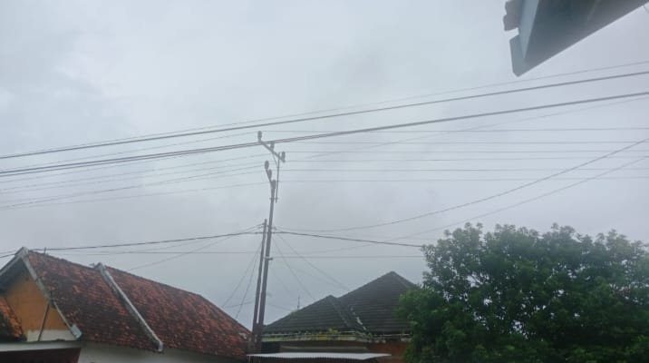 WhatsApp Image 2026 01 17 at 11.11.16 1