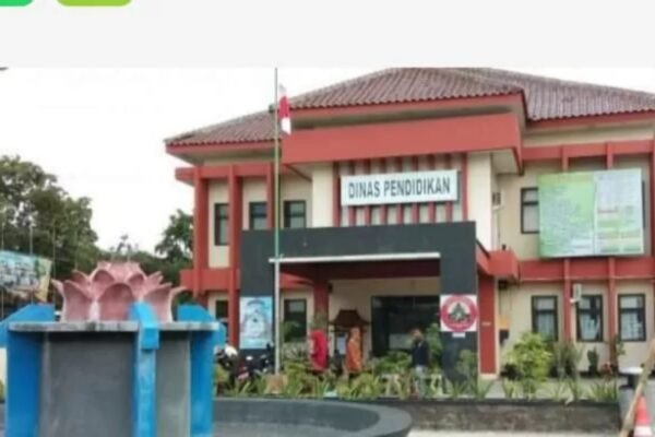 WhatsApp Image 2026 01 17 at 12.09.39