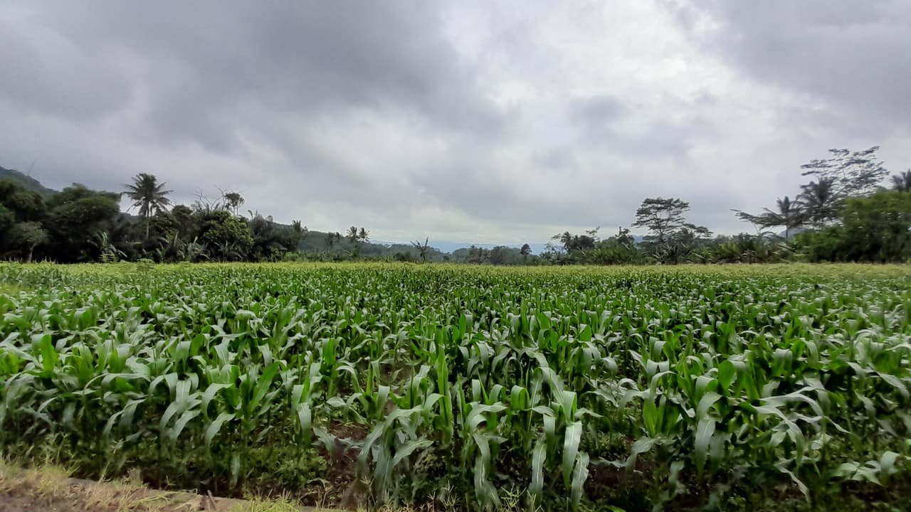 WhatsApp Image 2026 01 25 at 8.35.08 PM