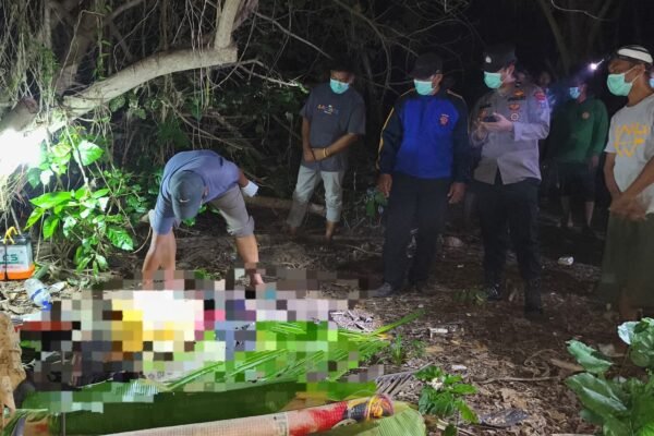 WhatsApp Image 2026 01 29 at 9.34.05 PM