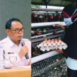 GridArt 20260227 124118625 scaled 1