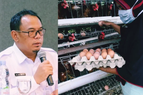 GridArt 20260227 124118625 scaled 1