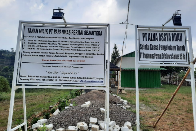 Screenshot 2026 02 19 122539