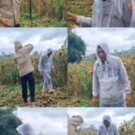 WhatsApp Image 2026 02 07 at 17.56.31