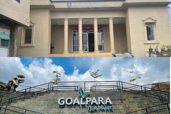 WhatsApp Image 2026 02 14 at 7.28.19 PM 1