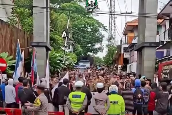 WhatsApp Image 2026 02 19 at 9.57.37 PM