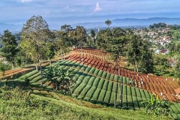 WhatsApp Image 2026 03 01 at 4.54.40 AM