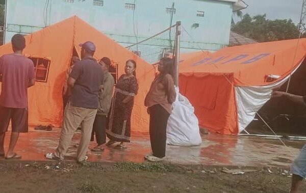 WhatsApp Image 2026 03 11 at 04.24.01