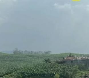 WhatsApp Image 2026 03 12 at 22.58.41 1