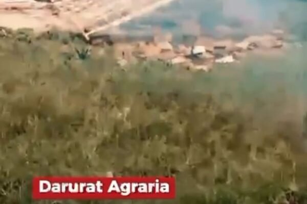 WhatsApp Image 2026 03 13 at 10.19.10 PM