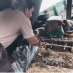 WhatsApp Image 2026 03 15 at 6.27.01 PM