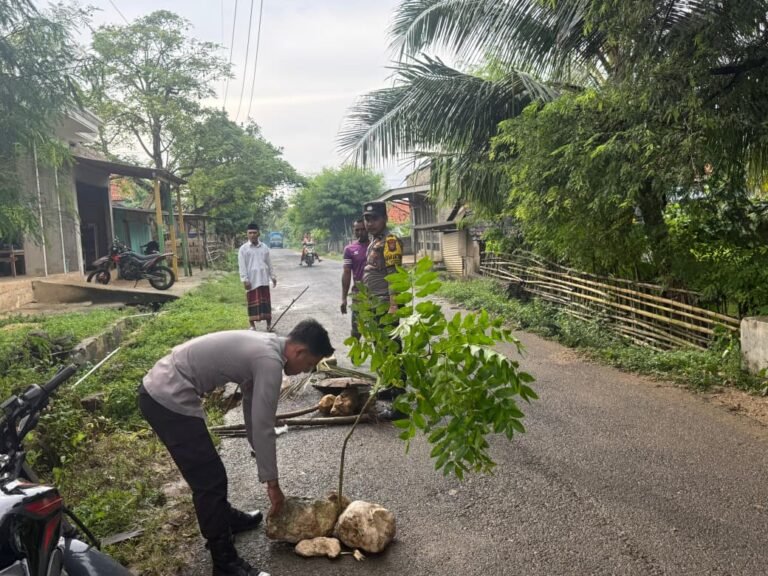 WhatsApp Image 2026 03 23 at 12.50.40