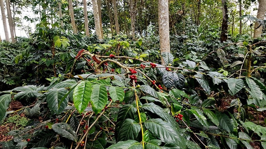 WhatsApp Image 2026 04 01 at 12.03.50