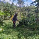 WhatsApp Image 2026 04 01 at 13.40.16