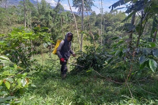 WhatsApp Image 2026 04 01 at 13.40.16